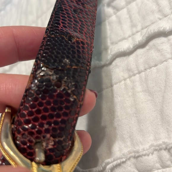 Genuine lizard belt Large/xLarge - Picture 9 of 11